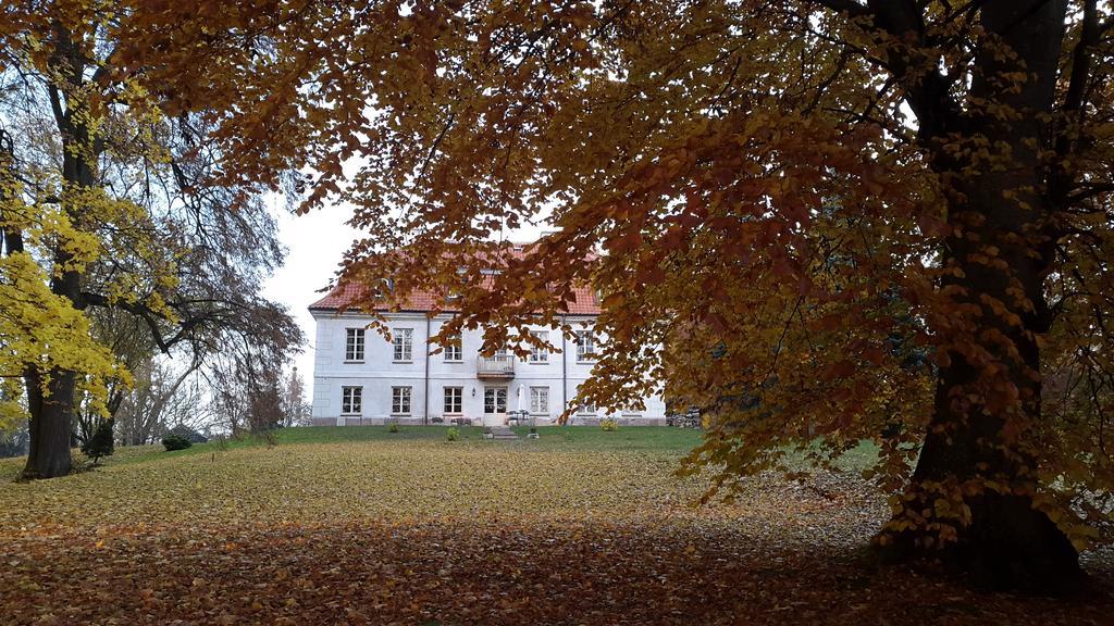 Bed and Breakfast Dwór Dawidy Mlynary Exterior foto
